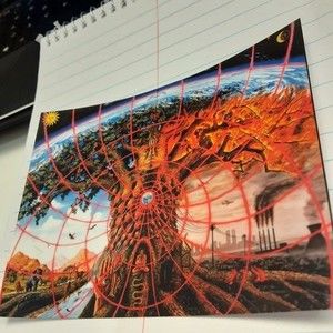 Tree of Life & Death Sticker